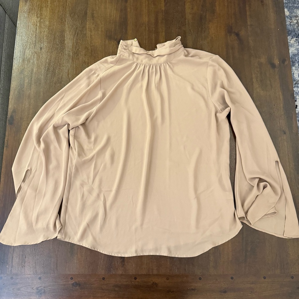 Violet & Claire Tan  Sheer‎ Blouse Turtleneck